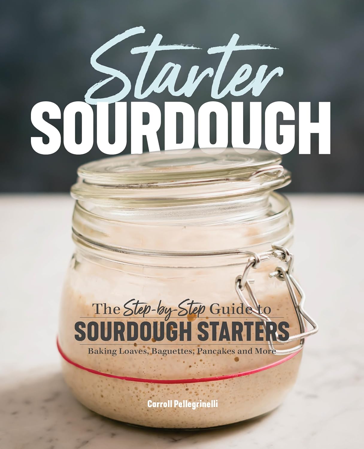 Starter Sourdough Book Cover